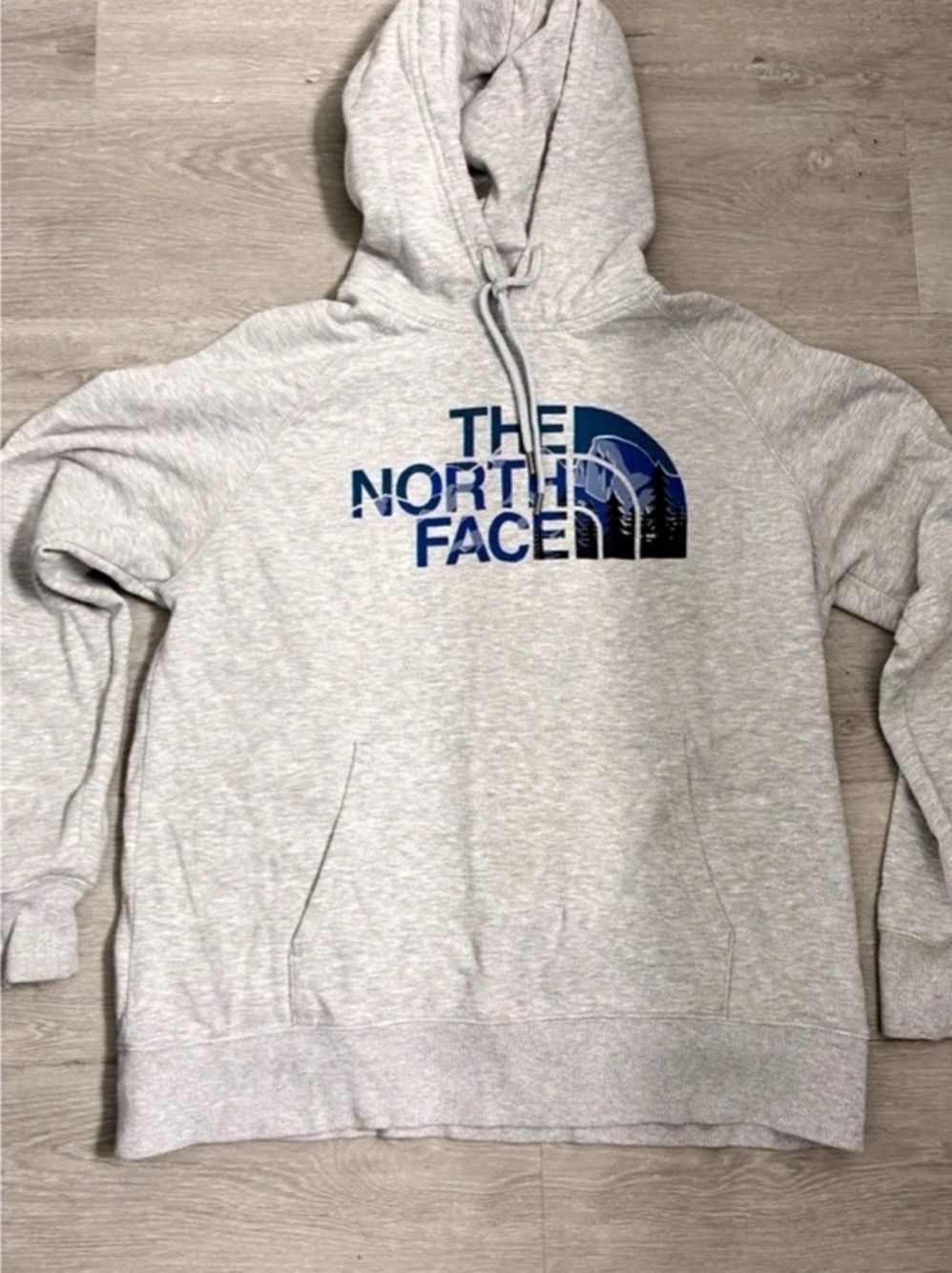 The North Face Men's Evolution Half Dome Graphic Hoodie Gray